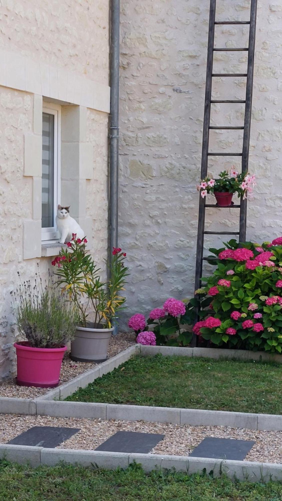 Gite Amanala Poitou Saint-Genest-d'Ambiere Zewnętrze zdjęcie